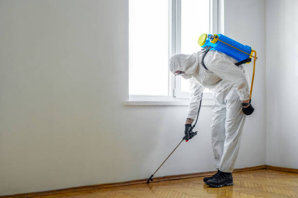 Best Pest Control for Hotels  in Jonestown, TX